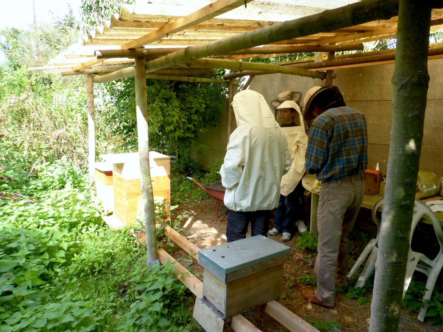 repainville - initiation à l'apiculture
